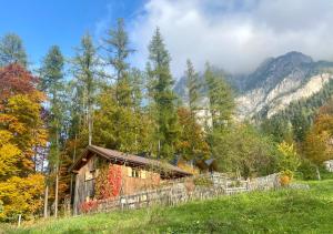 a log cabin in the middle of a forest at Älmele - Waldchalets Brandnertal in Brand