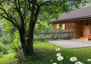 a tree in the yard next to a house at Älmele - Waldchalets Brandnertal in Brand
