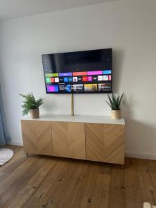 a flat screen tv on a wall with two plants at Steinbock Apartement in Bad Goisern