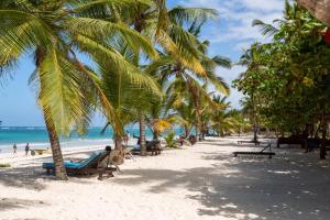 a beach with palm trees and people sitting on benches at Bstan Deluxe Beachfront in Diani Beach