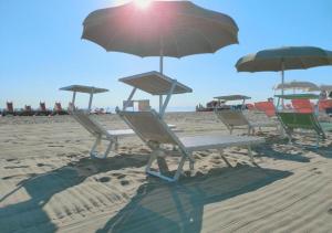 a group of chairs and umbrellas on a beach at Hotel Susy in Rimini