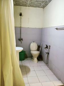 a bathroom with a toilet and a sink at Hunza Backpackers Inn in Hunza Valley