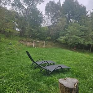 a couple of lawn chairs sitting in the grass at Forest House Doftana in Teşila