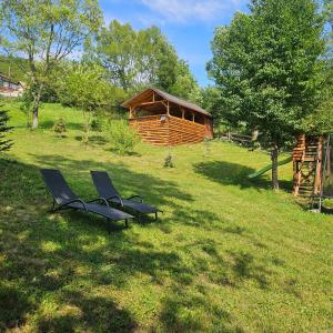 two chairs sitting in the grass in front of a cabin at Forest House Doftana in Teşila