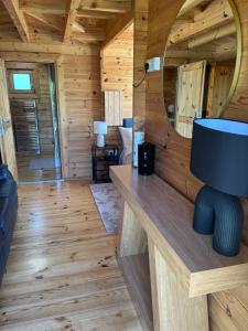 a log cabin with a large mirror and a room at Trelew Farm Log Cabin in Penzance