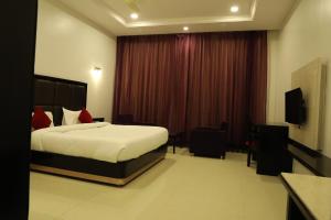 pokój hotelowy z łóżkiem i telewizorem w obiekcie Chandra Grand w mieście Dźodhpur