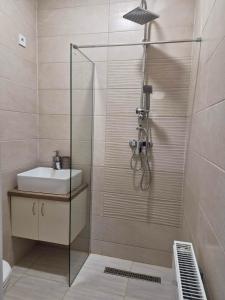 a bathroom with a glass shower with a sink at Horgász-Vadász Vendégház in Egyek +15 photos