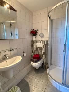a bathroom with a sink and a toilet and a shower at Panoramic - Wanderlust #329 mit Schwimmbad in Hohegeiß