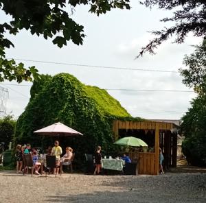 a group of people sitting at tables under umbrellas at The Wandering Donkey Guest House in Carlow