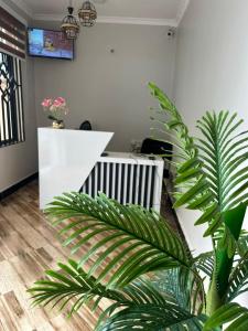 a green plant in an office with a desk at Gekamo Suites in Dar es Salaam