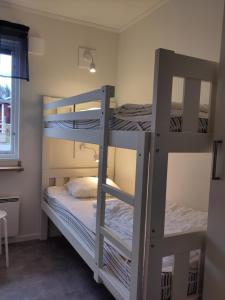 two bunk beds in a room with a window at Tärnaby Sportstugor in Tärnaby