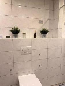 a bathroom with a toilet and two potted plants at Ferienwohnung BungertOase in Saarburg +17 photos