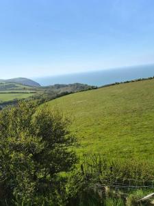 a field of green grass with the ocean in the background at Dean Linhay in Lynton