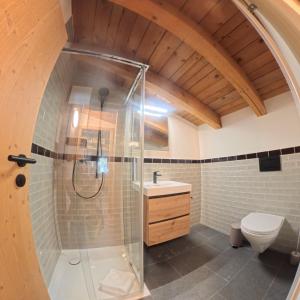 a bathroom with a shower and a toilet at Apartment with mountain view in Lenzerheide +15 photos