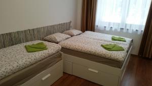 Posteľ alebo postele v izbe v ubytovaní Apartmány 33 a 8 AD Kamzík Donovaly