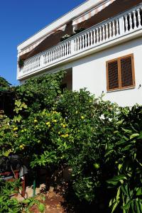 a building with a bunch of orange trees in front of it at Apartments Luka & Sara in Zadar