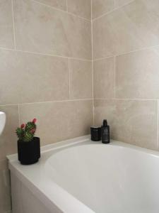 a bathroom with a bath tub with a plant on it at Limekilns House in Clydebank