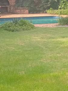 a yard with green grass and a swimming pool at Town Charm Guesthouse in Germiston