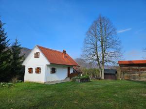 a white house with a red roof on a grass field at Mežnarija - Cerovec in Dolenjske Toplice