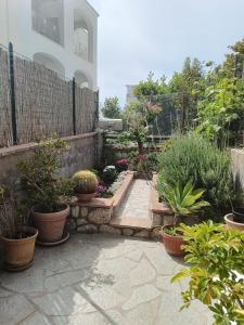 a garden with potted plants and a fence at Il Raggio in Capri