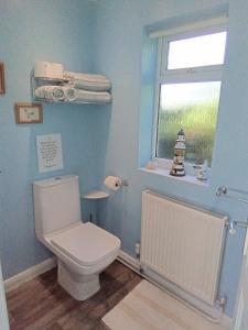 a bathroom with a white toilet and a window at West Point B&B in Bude +17 photos