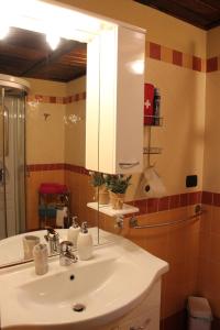 a bathroom with a sink and a mirror at B&B Il Girasole in Cuneo