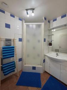 a bathroom with a shower and a sink at Le Petit Ussellois in Ussel
