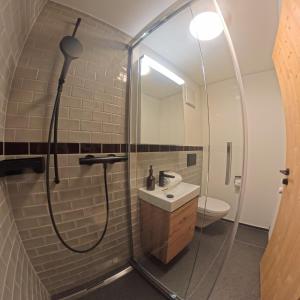 a bathroom with a shower and a sink at Stylish Aurora Studio with Mountain Views Lenzerheide in Lenzerheide