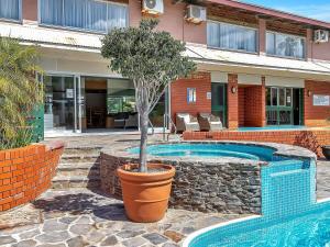 a small tree in a pot next to a pool at BreakFree Wirrina Cove in Wirrina Cove
