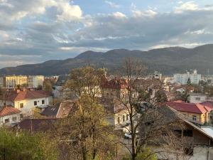 a city with buildings and mountains in the background at Karmia Boutique in Piatra Neamţ