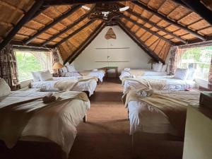a room with five beds in a room with a ceiling at Jimmy's Place in Dinokeng Game Reserve