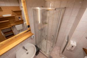 a bathroom with a shower and a toilet and a sink at Bed & Breakfast LakeBled House in Bled