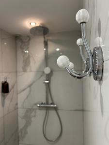 a shower with a shower head in a bathroom at Chambres d’hôtes Casarena in Porto-Vecchio +24 photos