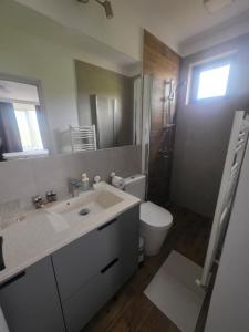 a bathroom with a sink and a toilet and a mirror at Hillcrest Panorama Valea Prahovei in Poiana Comarnic +40 photos