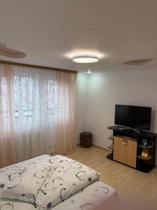 a bedroom with a bed and a flat screen tv at Apartament Floare de Colț in Buşteni