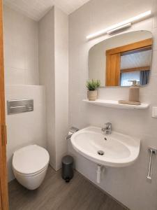 a white bathroom with a toilet and a sink at Pension Sonneck in Pfarrwerfen +17 photos