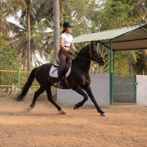 a woman riding a horse in an arena at Annmees Freedom Land in Bangalore