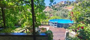 a swimming pool in a garden with a house at Apartment Glavica in Goveđari