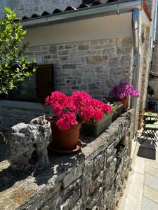three potted plants sitting on a stone wall at Casa Borgo in Bale
