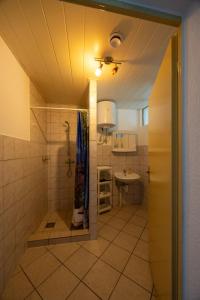 a bathroom with a shower and a sink at Ferienpark Buntspecht in Pruchten +76 photos