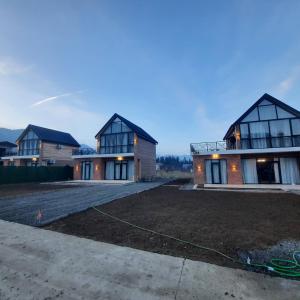 a row of houses with a driveway at Dream House borjomi sadgeri in Sadgeri