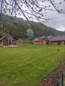 a group of houses in a field of grass at Livada Bunicilor in Zamfireşti