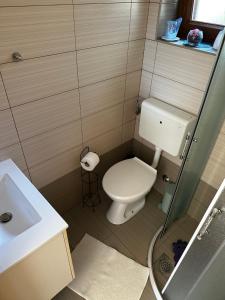 a small bathroom with a toilet and a sink at Casa Borgo in Bale