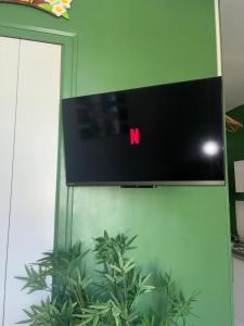 a television with the letter n on a green wall at Dodo Créole in Laval
