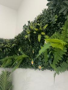 a green wall with plants and flowers on it at Dodo Créole in Laval