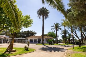 a street with palm trees in front of a building at TAIGA Tarifa Valdevaqueros in Tarifa