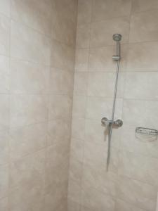 a shower stall with a shower head in a bathroom at Апарт-готель Олімпік in Lviv