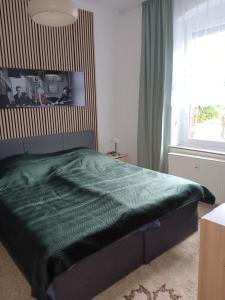 a bedroom with a green bed with a window at Gemütliche Ferienwohnung in Bottrop