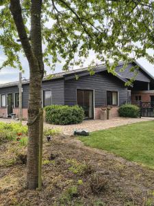 a house with a tree in front of it at Studio Rent Jamzes in Hoogerheide