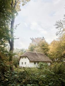 a white house with a thatched roof in a forest at Historic Vipp House From 1775 In Søllested in Søllested